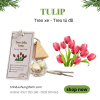 tinh-dau-treo-xe-o-to-tulip