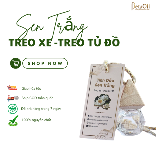 treo-xe-sen-trang