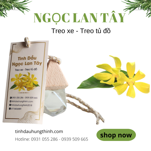 tinh-dau-treo-xe-ngoc-lan-tay