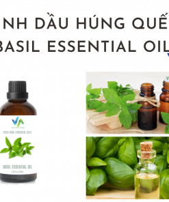 Tinh dầu Húng Quế – Basil Essential Oil 3