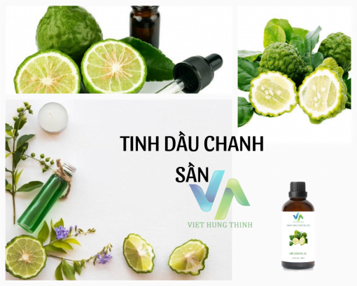 Tinh dầu Chanh Sần – Lime Essential Oil 4