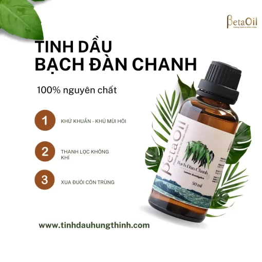 tinh-dau-bach-dan-chanh-eucalyptus-50ml